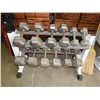 Image 1 : DUMBELL SET WITH STAND - 13 PC + STAND