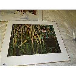 LIMITED EDITION PRINT - MARLA WILSON