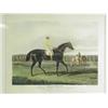 Image 1 : After Herring 'JACK SPIGOT' AND 'GREY MOMUS' coloured prints, 40 x 48cm Est. 80/120...