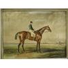 Image 1 : Seven various 19th century racing prints, including 'Extraordinary Steeplechase' (poor condition)...
