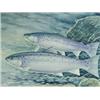 Image 1 : Robin Ade FOUR STUDIES OF SALMON AND TROUT comprising a rainbow, brown, two salmon and a Septembe...