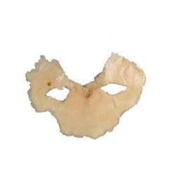 Buffy The Vampire Slayer Kralik SFX Prosthetic