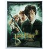 Image 1 : Harry Potter Chamber Of Secrets French Poster