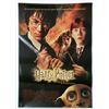 Image 1 : Harry Potter Chamber Of Secrets German Poster