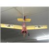 Image 2 : Single Wing R/C Plane