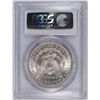 Image 4 : 1884-O MORGAN SILVER DOLLAR, PCGS MS-63  BLAST WHITE
