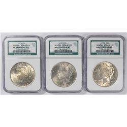 (3) 1923 PEACE DOLLAR NGC MS-63-65 (BINION COLLECTION) PRESTIGE SET #794 OF 978