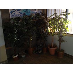 7 FAUX PLANTS