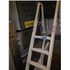 Image 1 : PLASTIC POOL LADDER