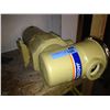 Image 1 : JACUZZI PUMP