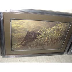 LIMITED EDITION FRAMED PRINT "PRIDE OF THE AMAZON" BY DENIS MEYER JR