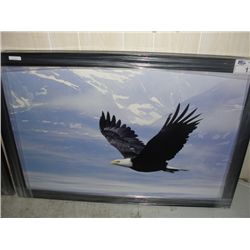 FRAMED PRINT "SOARING EAGLE"