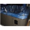 Image 1 : CAL SPAS AQUA SERIS HOT TUB WITH PACIFIC BLUE INTERIOR AND 7.5' SMOKE CABINET.  FEATURES INC: