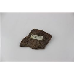 Dinosaur Bone