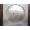 Image 2 : 2006 AMERICAN SILVER EAGLE NGC MS69