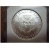 Image 2 : 2006 AMERICAN SILVER EAGLE NGC MS69