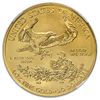 Image 3 : 2013 1 oz Gold American Eagle MS-70 NGC Early Releases