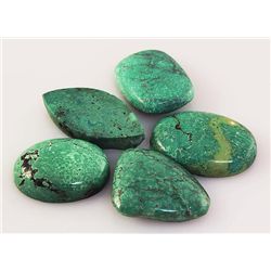 Natural Turquoise 245.63ctw Loose Gemstone Lot of 5