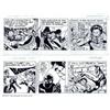 Image 1 : Larry Lieber - Original Comic Strip Art for The Amazing Spider-Man Daily, Lot of 5 (King Features...