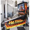 Image 2 : NO FEAR : DANGEROUS SPORTS PINBALL MACHINE ~ GORGEOUS HUO