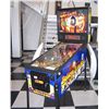 Image 1 : RIPLEY'S BELIEVE IT OR NOT! PINBALL MACHINE BY STERN