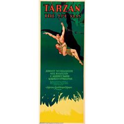 Tarzan the Ape Man (MGM, 1932). Insert (14" X 36"). Johnny Weissmuller, a 28 year old Olympic gol...
