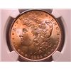 Image 1 : 1885 Morgan Dollar Ch MS64 NGC