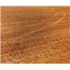 Image 1 : Feld 1310