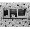 Image 1 : Ohne Titel ("Cette photo est un document:...")