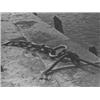 Image 1 : Album mit 20 gebundenen Photographien