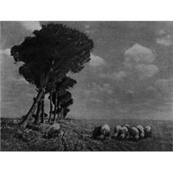 Roman Campagna