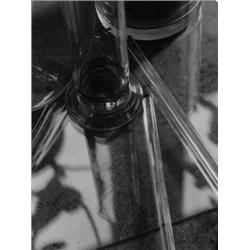 Reagenzglas