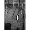 Image 1 : Ohne Titel