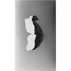 Photogramm (Unikat)