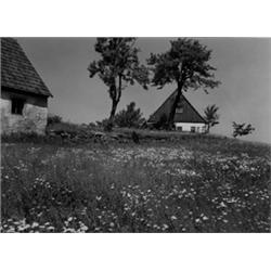 Erzgebirge, Landschaft b/Oberwiesenthal