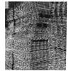 Image 1 : Eisenstruktur (Solarisation)