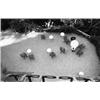 Image 1 : Garden Restaurant