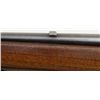 Image 3 : Scarce Marlin model 336-A, lever action rifle in .30-30 caliber with 24” round barrel, half magazine