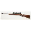 Image 2 : Winchester Model 88, lever action rifle, cal. .243 Win., serial #51123. The rifle is in overall very