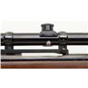 Image 4 : Winchester Model 70, G series, post 1964 in .22-250 caliber, 22” barrel mounted with 4x power Bushne