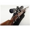 Image 8 : Winchester Model 70, G series, post 1964 in .22-250 caliber, 22” barrel mounted with 4x power Bushne