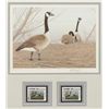Image 2 : Lot consisting of 2 limited edition prints framed with duck stamps and envelopes. Number 1 shows art