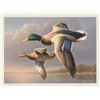 Image 2 : Lot of 2 limited edition prints with duck stamps showing identical artwork. Item number 1 is a signe