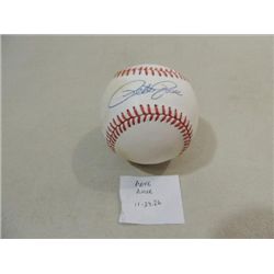 RAWLINGS BASEBALL AUTO GRAPHED PETE ROSE NO COA.