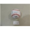 Image 1 : RAWLINGS BASEBALL TEAM AUTOGRAPH CHICAGO CUBS 1992
