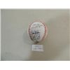 Image 4 : RAWLINGS BASEBALL TEAM AUTOGRAPH CHICAGO CUBS 1992
