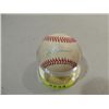 Image 1 : RAWLINGS BASEBALL AUTOGRAPHED RAFAEL PALMEIRO