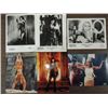 Image 1 : LOT 6 1995 TV PROMOTIONAL PHOTOS: XENA WARRIOR