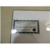 Image 3 : 10X8 FOOTBALL PHOTO AUOTGRAPHED MARK SANCHEZ COA