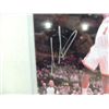 Image 2 : 8X10 BASKETBALL PHOTO AUTOGRAPH A'MARE STOUDEMIRE